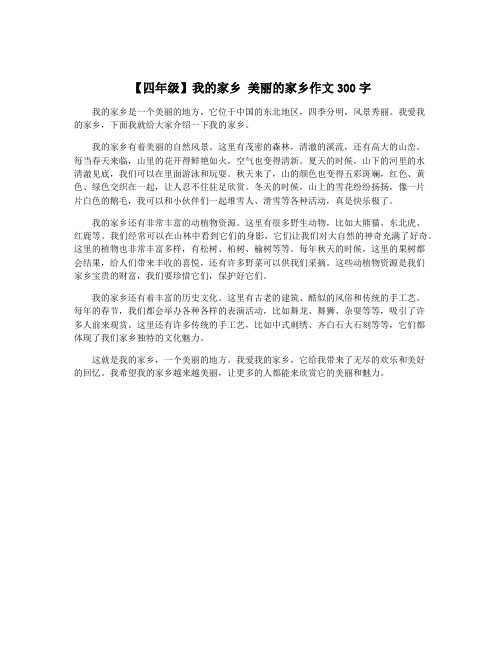 【四年级】我的家乡 美丽的家乡作文300字