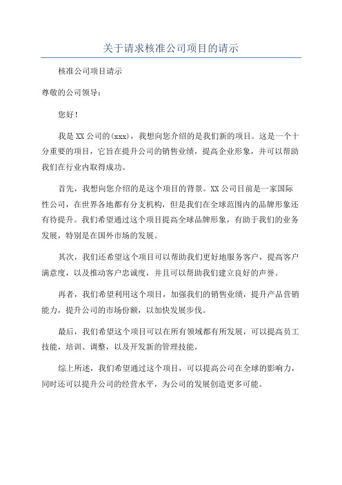 关于请求核准公司项目的请示