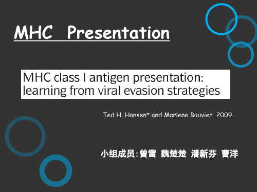 MHC-曾雪 魏楚楚