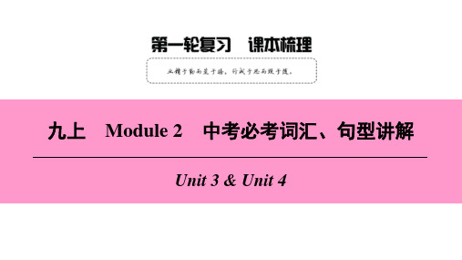 深圳英语九年级上册 Module 2 Ideas and viewpoints课本梳理