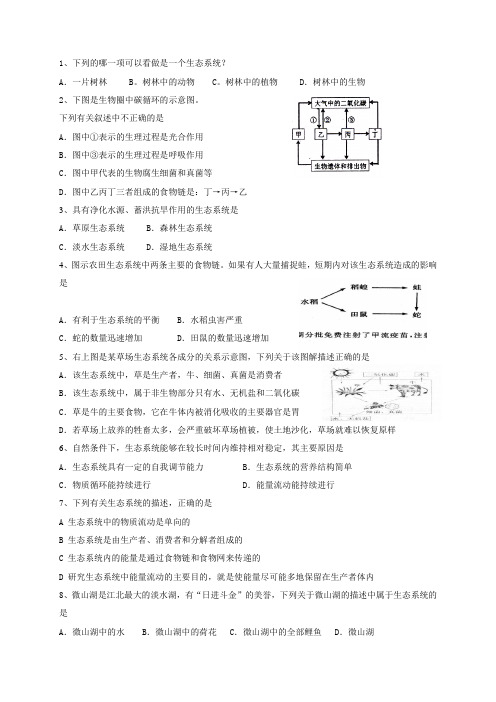 生态系统测试题