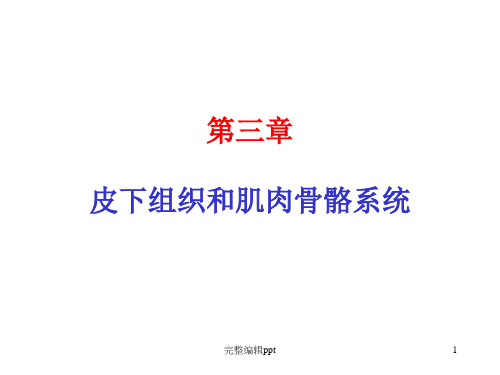 各种常见猪病解剖完整版本