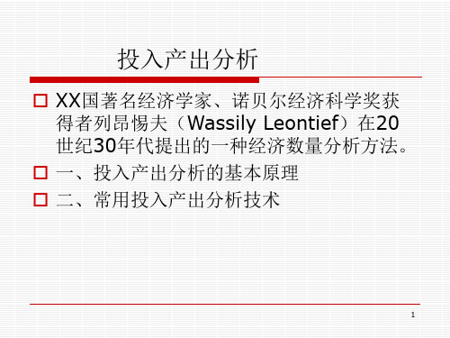 投入产出分析ppt素材