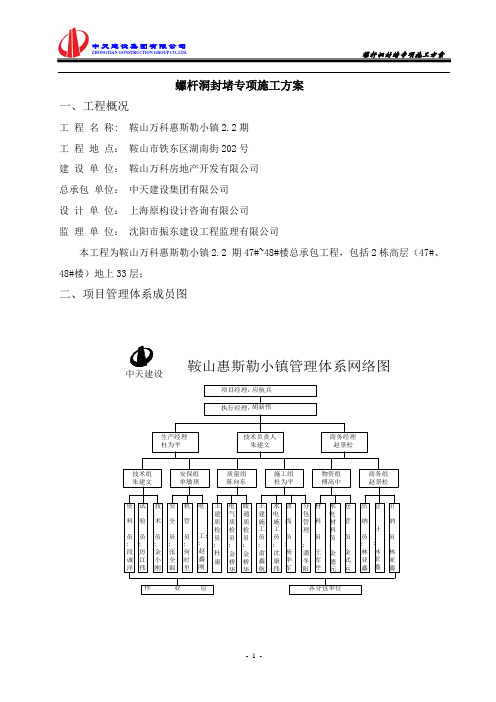 螺杆洞封堵施工方案振东2.2