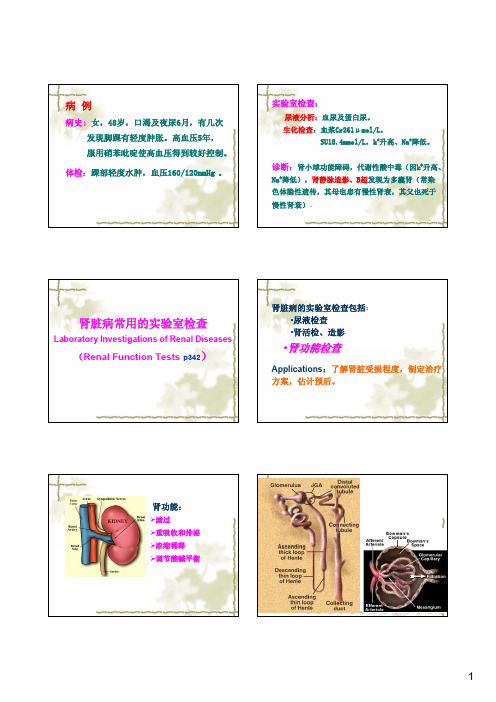 肾脏病常用的实验室检查