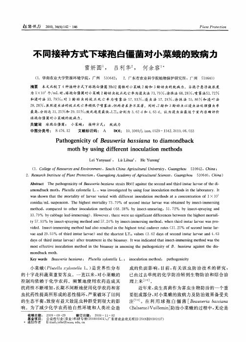不同接种方式下球孢白僵菌对小菜蛾的致病力