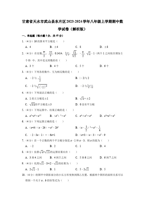 甘肃省天水市武山县东片区2023-2024学年八年级上学期期中数学试卷(含解析)