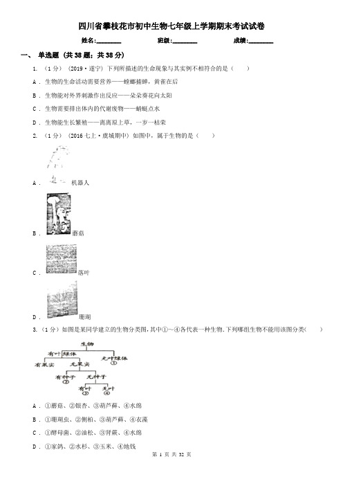 四川省攀枝花市初中生物七年级上学期期末考试试卷