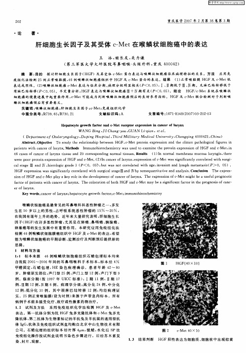 肝细胞生长因子及其受体c—Met在喉鳞状细胞癌中的表达