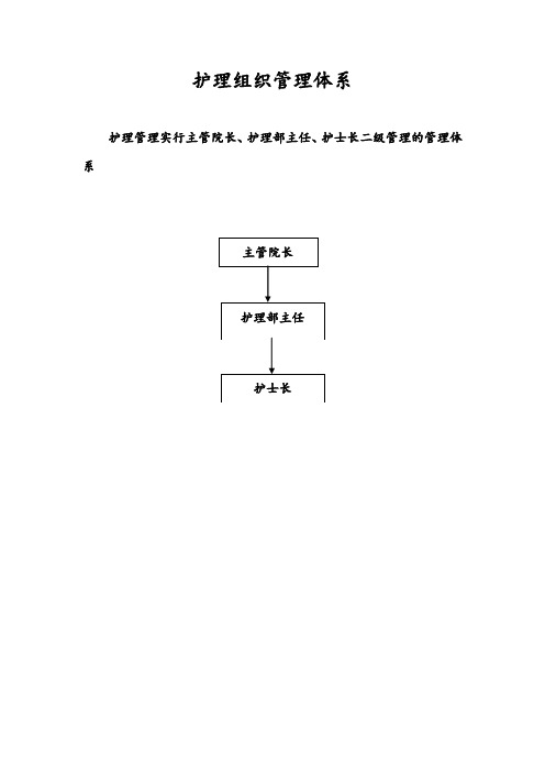 护理组织管理体系-护理管理实行主管院长、护理部主任、护士长二级管理的管理体系