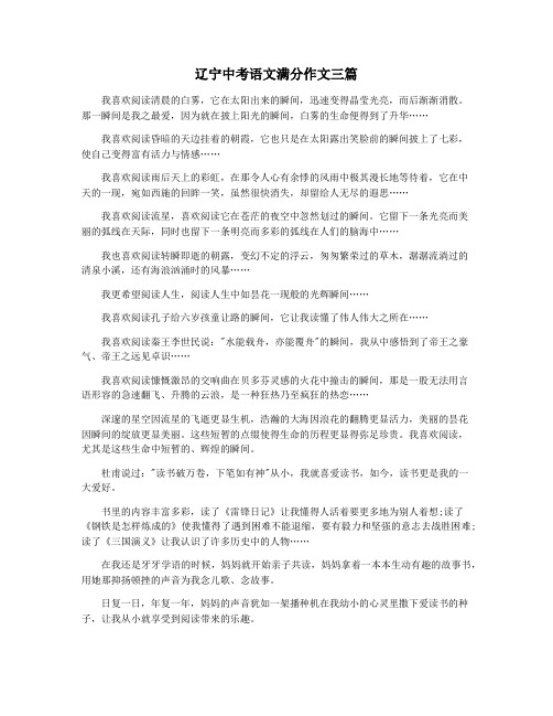 辽宁中考语文满分作文三篇