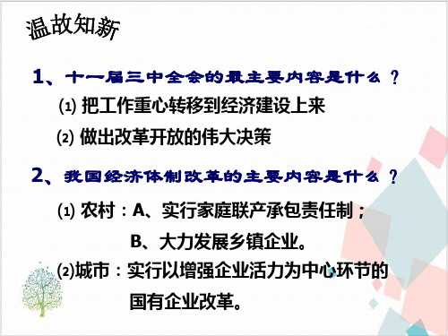 高中历史岳麓版必修对外开放格局的形成课件PPT