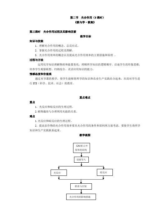 高一生物光合作用教案第三课时(苏教版必修一)1