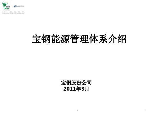 宝钢能源管理体系介绍(PPT)