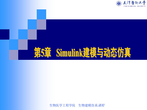 医学生物工程 Simulink的基本模块