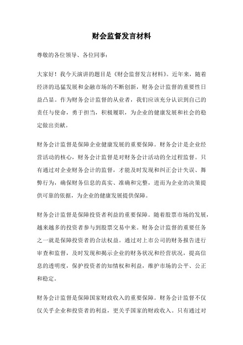 财会监督发言材料