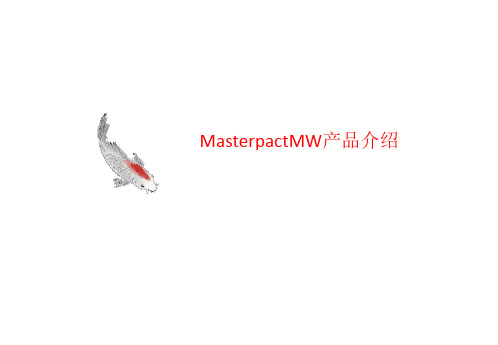 MasterpactMW产品介绍-文档资料