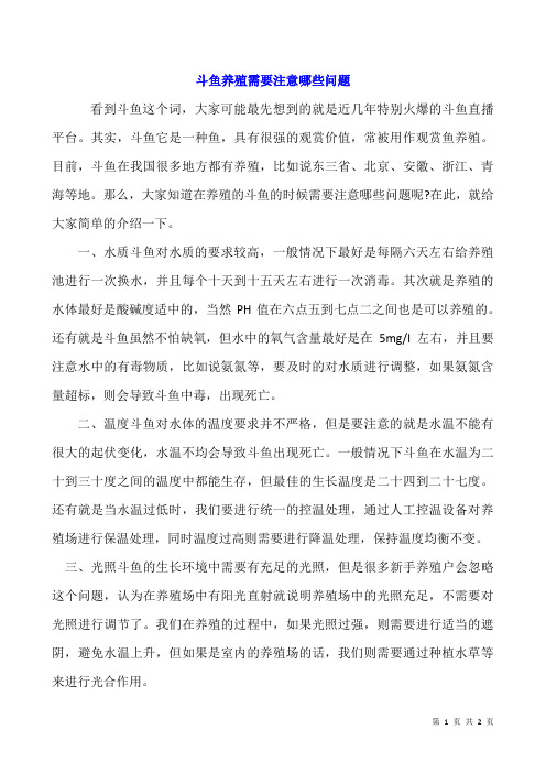 斗鱼养殖需要注意哪些问题