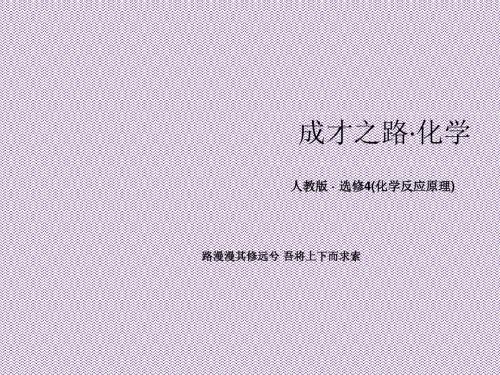 《成才之路》2013-2014学年高中化学(人教版,选修4)课件3-4