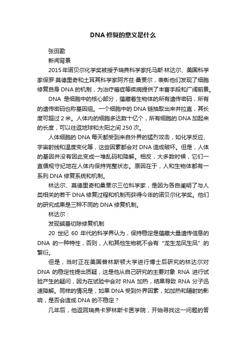 DNA修复的意义是什么