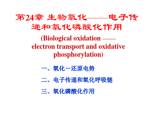 生物化学第24章生物氧化——电子传递和氧化磷酸化作用