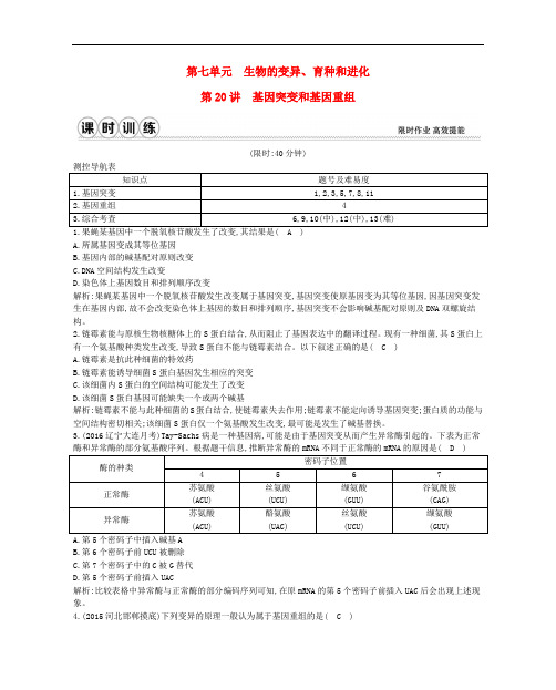 高考生物一轮复习 第七单元 生物的变异、育种和进化 第20讲 基因突变和基因重组