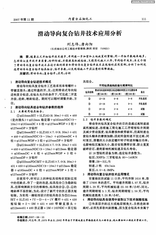 滑动导向复合钻井技术应用分析