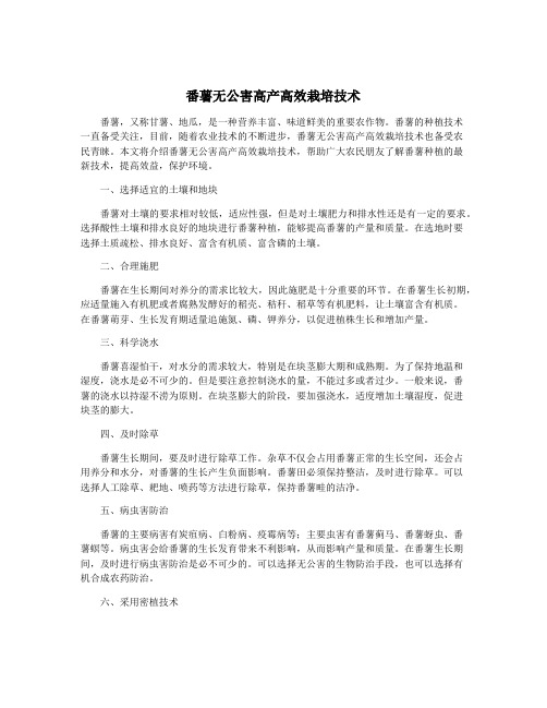 番薯无公害高产高效栽培技术