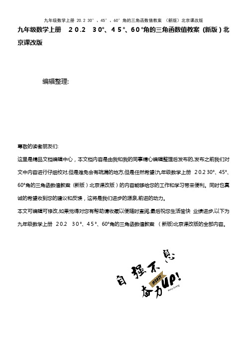 九年级数学上册 20.2 30°、45°、60°角的三角函数值教案 北京课改版(2021学年)