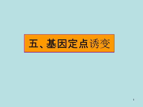 基因定点诱变技术与DNA与蛋白质互作及定点突变介绍