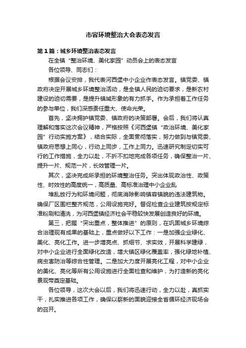 市容环境整治大会表态发言