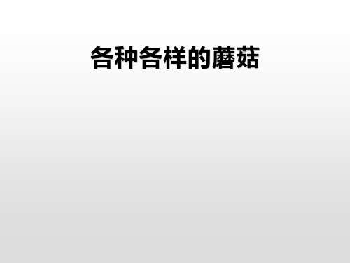 四年级上册科学课件-2.3各种各样的蘑菇 人教版 (共24张PPT)