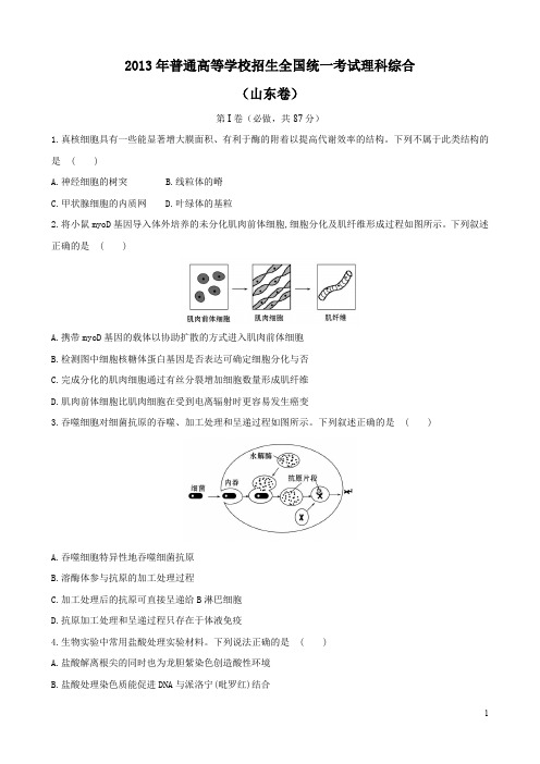 2013年普通高等学校招生全国统一考试理科综合山东卷试卷及解析