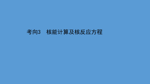 2021届高考物理二轮复习课件：第一篇 专题十 考向3 核能计算及核反应方程