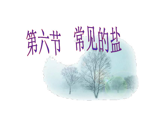 九年级化学常见的盐3