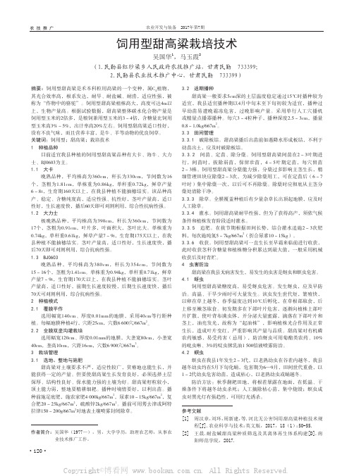 饲用型甜高粱栽培技术