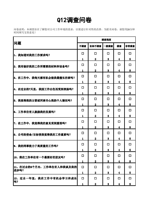 Q12调查问卷