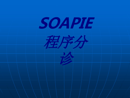 SOAPIE程序分诊PPT培训课件