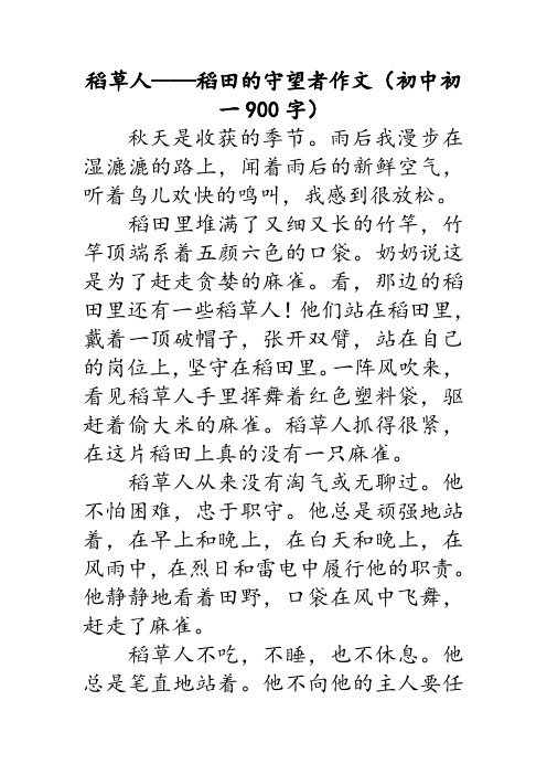 关于稻草人的初中作文 六篇