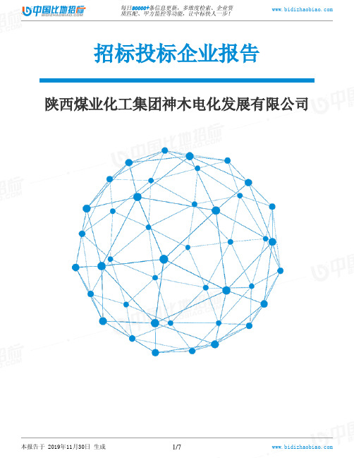 陕西煤业化工集团神木电化发展有限公司-招投标数据分析报告