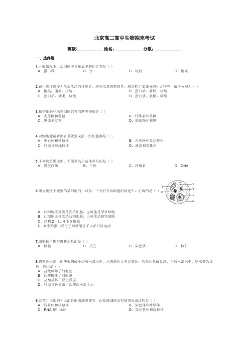 北京高二高中生物期末考试带答案解析
