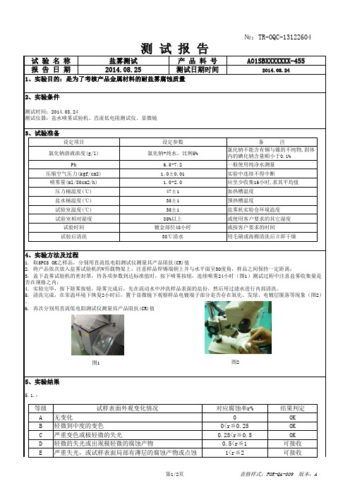 盐雾测试报告模版