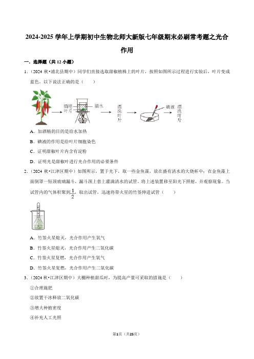 〖生物〗2024-2025学年初中生物(北师大版)七年级上册期末必刷题：光合作用