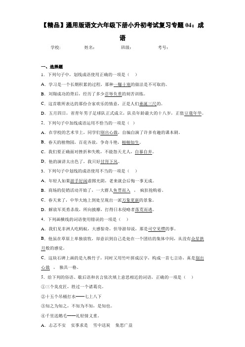 小学通用版语文六年级下册小升初考试复习专题04：成语(含答案解析)