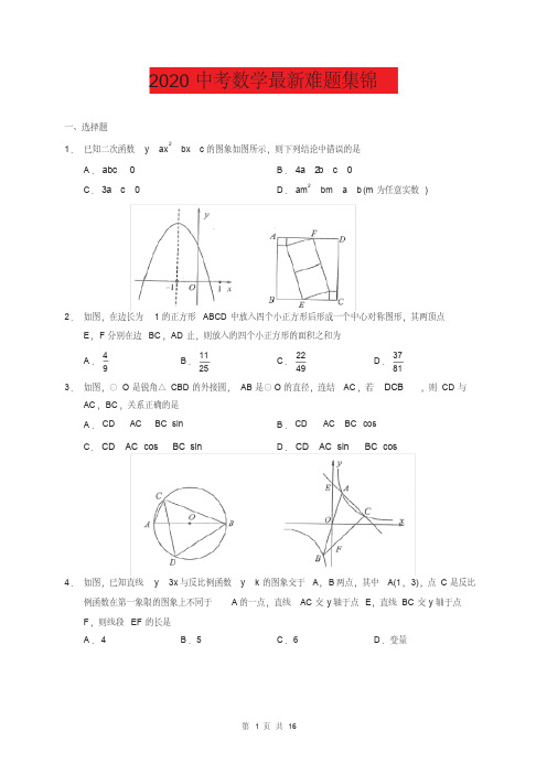 2020中考数学最新各类题型难题集锦