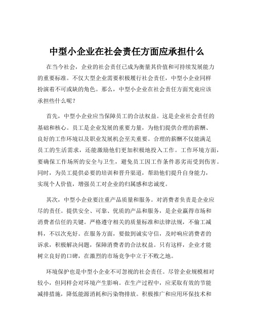 中型小企业在社会责任方面应承担什么