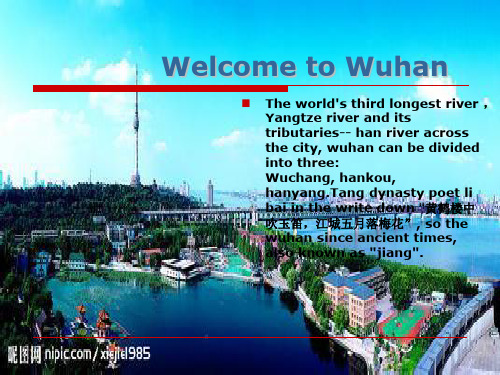 WelcometoWuhan资料