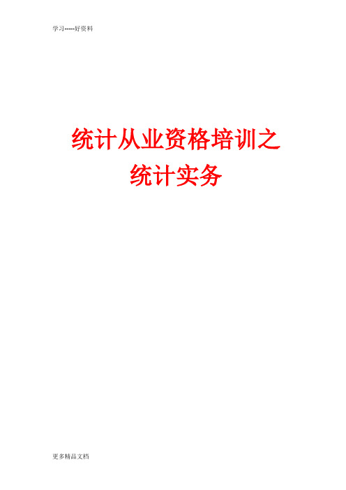 统计从业资格培训——统计实务讲课讲稿