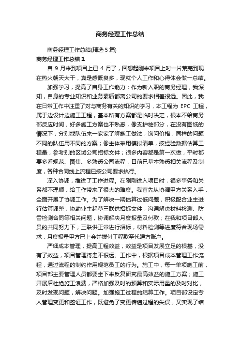 商务经理工作总结(精选5篇)