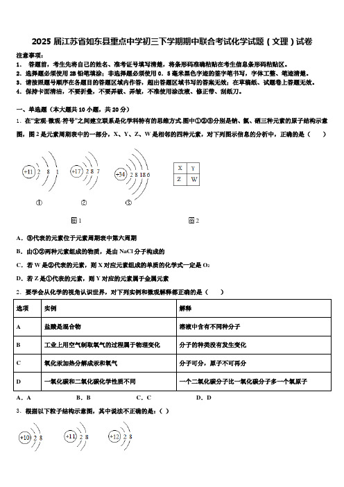 2025届江苏省如东县重点中学初三下学期期中联合考试化学试题(文理)试卷含解析